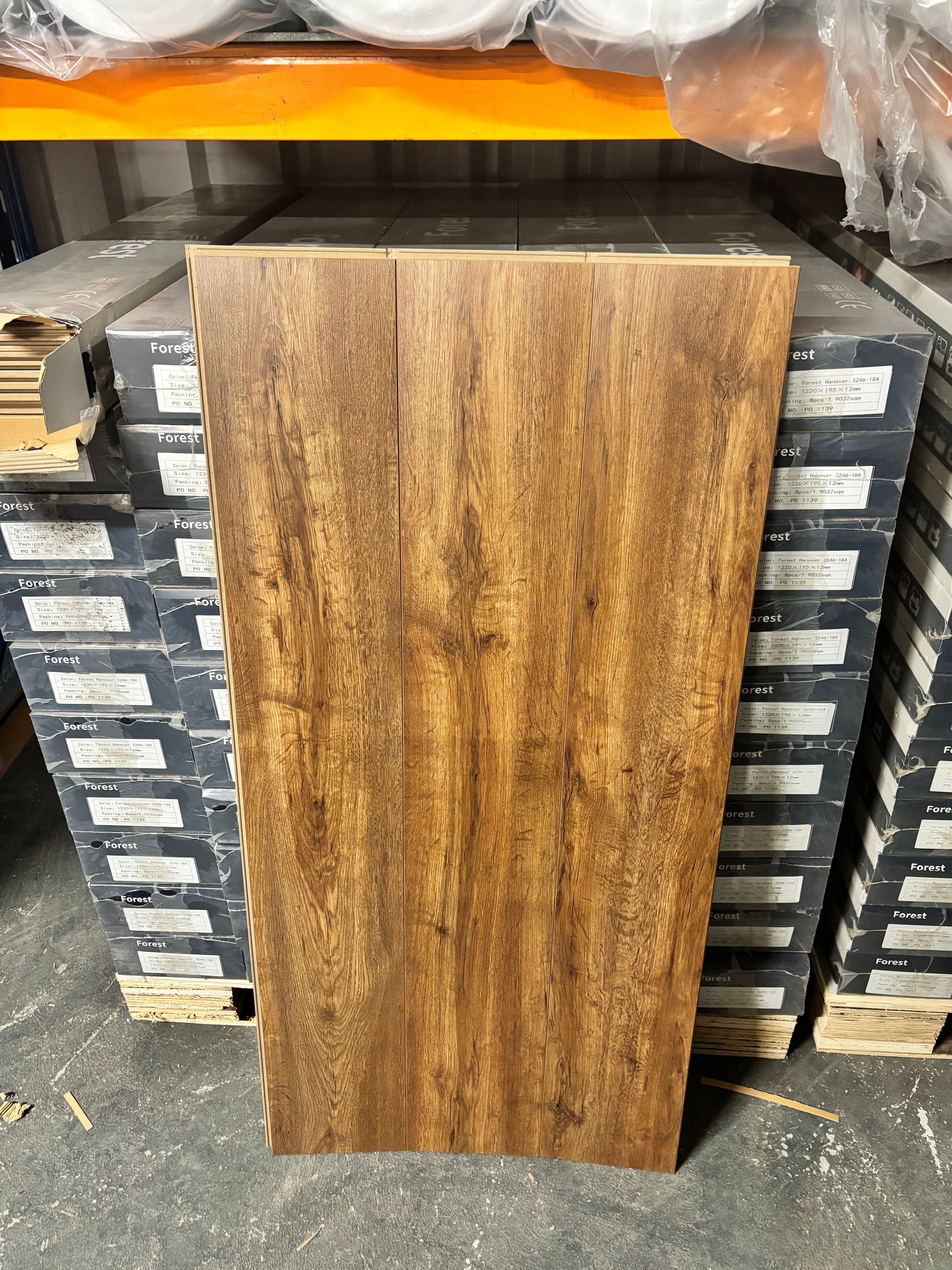 Forest Munich Oak Matt 12mm Laminated Flooring