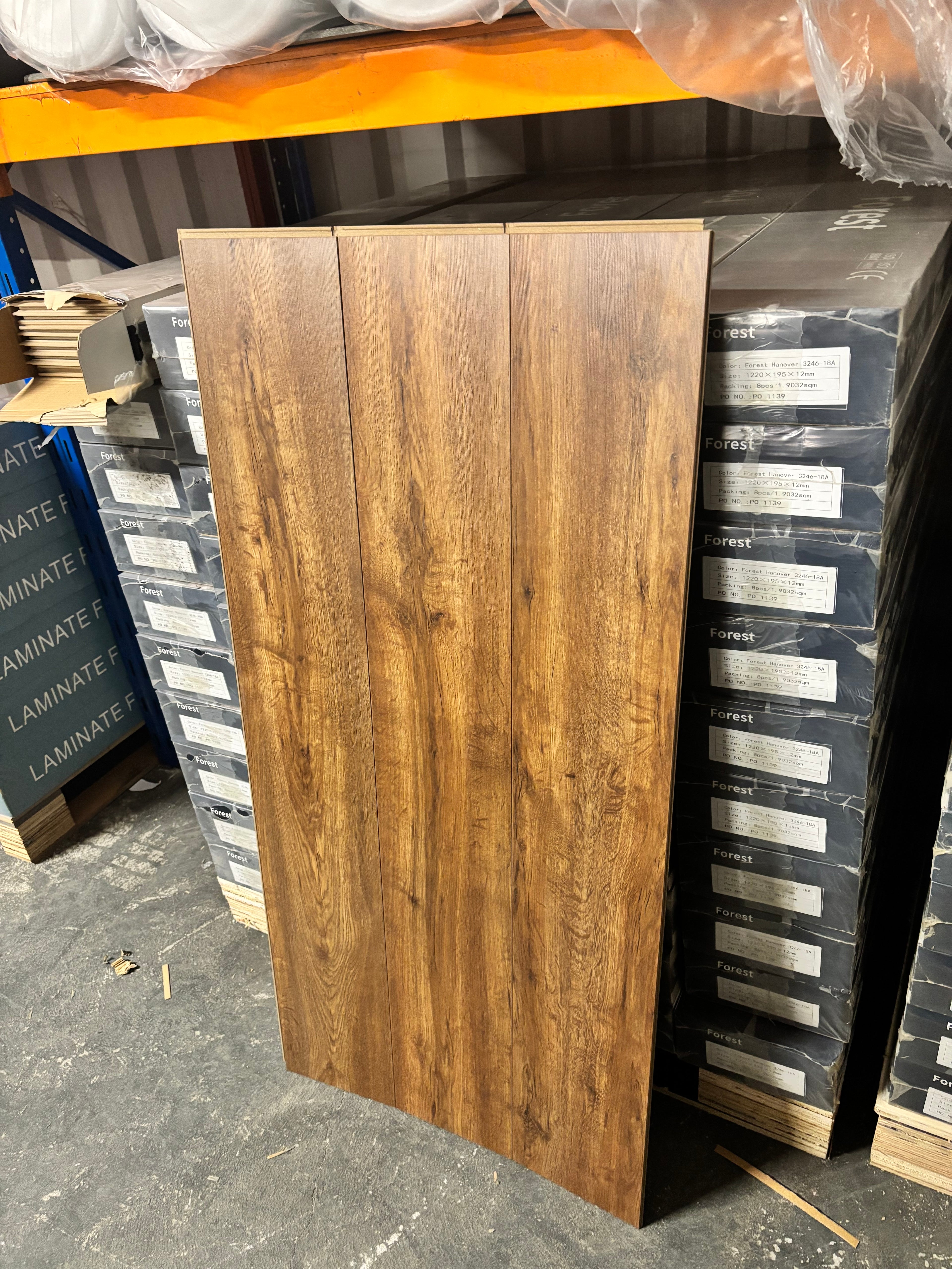 Forest Munich Oak Matt 12mm Laminated Flooring