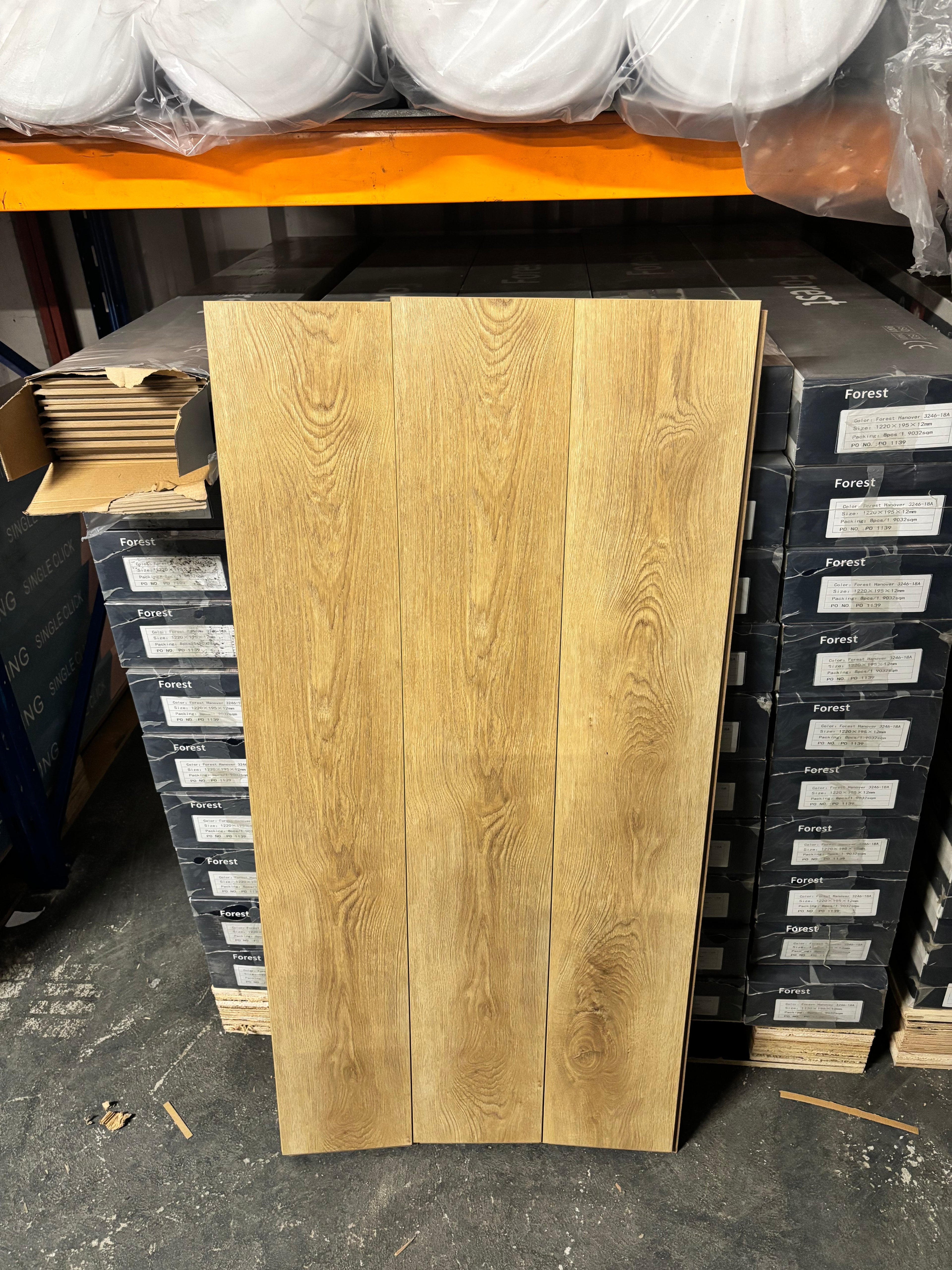 Forest Palma 12mm Laminated Flooring