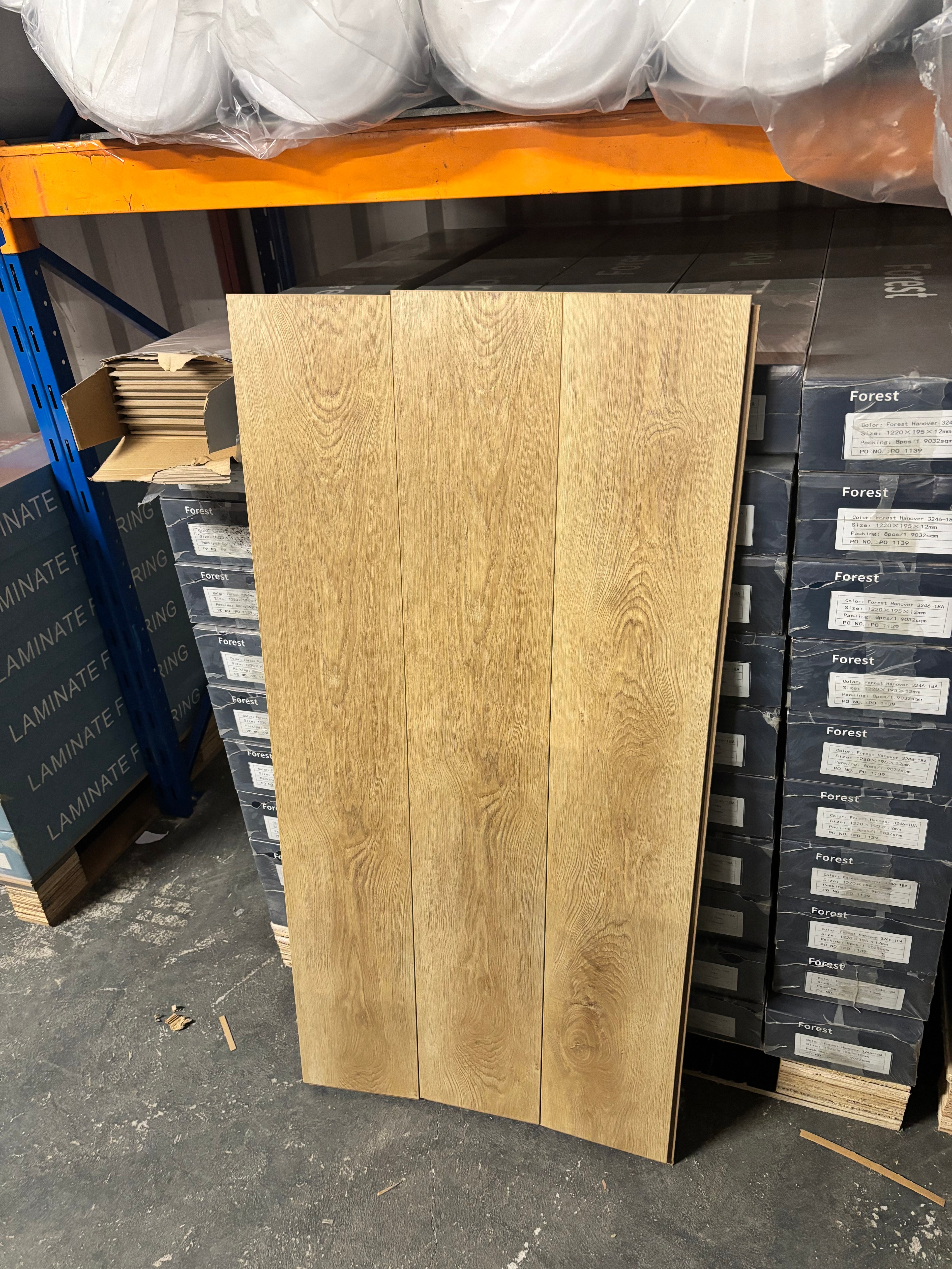 Forest Palma 12mm Laminated Flooring